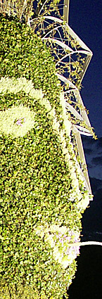 wassergöttin vulkania